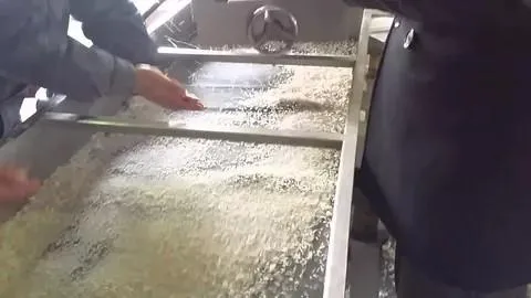 Best-Quality-Instant-Rice-Maker-With-Good (1)